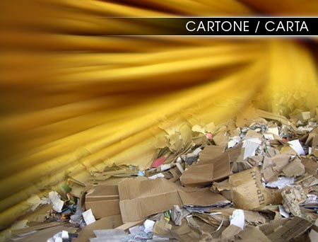 carta cartone