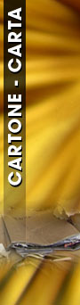 carta cartone